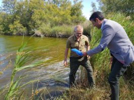 Escolares malagueños participan en la reintroducción de más de mil peces en la desembocadura del Guadalhorce