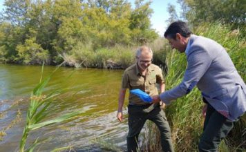 Escolares malagueños participan en la reintroducción de más de mil peces en la desembocadura del Guadalhorce