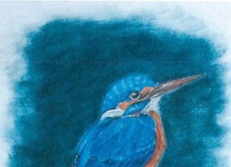 Dos centros y dos estudiantes malagueños galardonados por sus actividades medioambientales