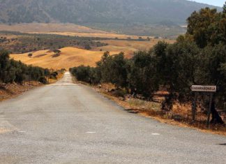 La Diputación invierte 215.000 euros en diversas mejoras de la carretera entre El Burgo y Casarabonela