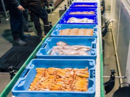 Diez millones más de presupuesto para ayudas que respaldan la transformación de productos pesqueros y acuícolas