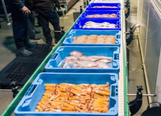 Diez millones más de presupuesto para ayudas que respaldan la transformación de productos pesqueros y acuícolas