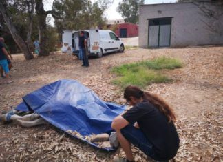 Una visita con resultado de muerte