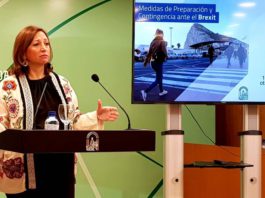 Programa Andaluz de Medidas de Preparación ante la retirada del Reino Unido de la Unión Europea