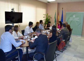 La Junta se reúne con las Empresas del Servicio de Ayuda a Domicilio, SAD