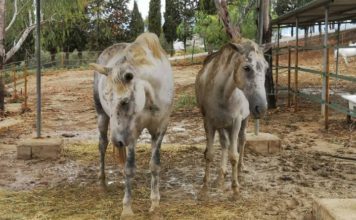 El Santuario CYD Santa María lanza un crowdfunding para hacer frente a los gastos ocasionados por las lluvias torrenciales