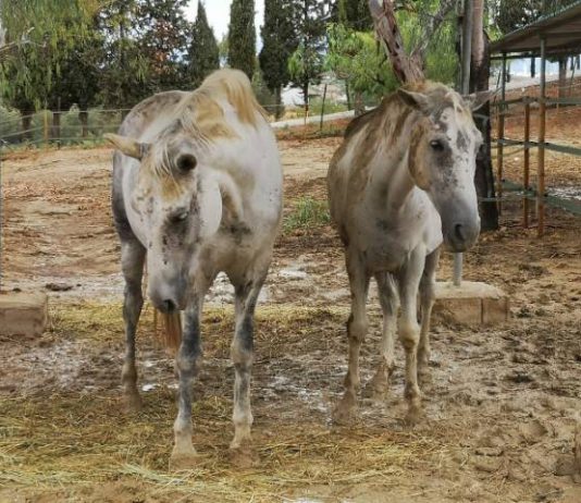 El Santuario CYD Santa María lanza un crowdfunding para hacer frente a los gastos ocasionados por las lluvias torrenciales
