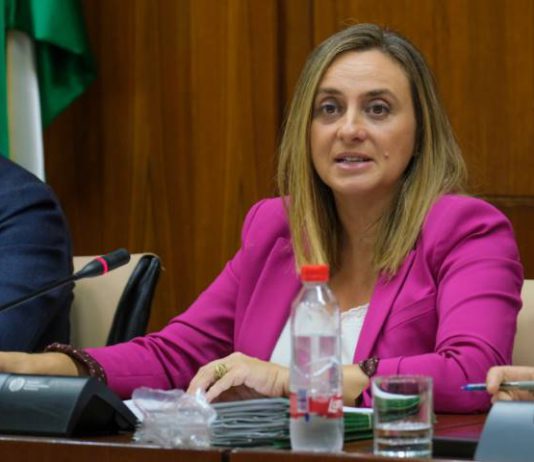 Las obras del carril BUS-VAO del PTA de Málaga están ya al 36% de ejecución