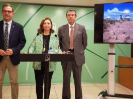 Unidad Aceleradora de Proyectos de Interés Estratégico