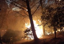 Una decena de viviendas desalojadas por el incendio de Casares en el que los operativos han trabajado durante toda la madrugada
