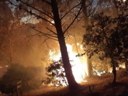 Una decena de viviendas desalojadas por el incendio de Casares en el que los operativos han trabajado durante toda la madrugada