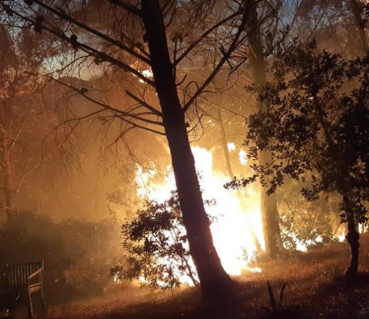 Una decena de viviendas desalojadas por el incendio de Casares en el que los operativos han trabajado durante toda la madrugada