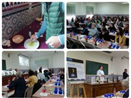 Jornada de cata de aceites de oliva