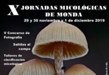 Monda celebra La X Edición de sus Jornadas Micológicas con recolección de setas, charlas y talleres de maridaje