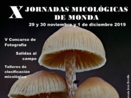 Monda celebra La X Edición de sus Jornadas Micológicas con recolección de setas, charlas y talleres de maridaje