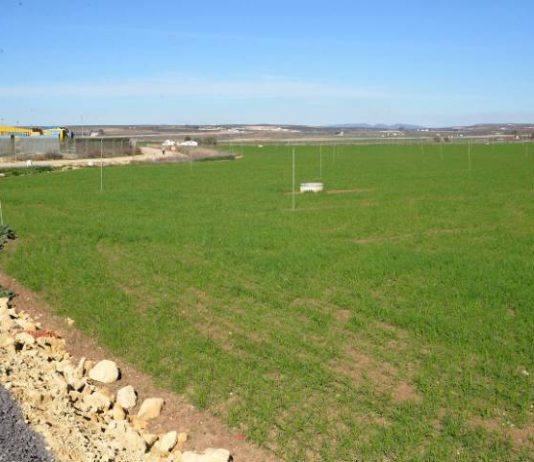 El Puerto Seco de Antequera supera el último trámite para iniciar su urbanización