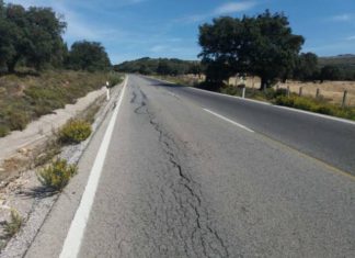 La Junta adjudica las obras de mejora en más de 40 kilómetros de carretera entre Ronda y Ardales