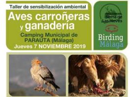 La Diputación organiza nuevas actividades formativas para promocionar la observación de aves