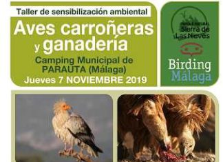 La Diputación organiza nuevas actividades formativas para promocionar la observación de aves