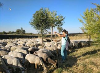 La Consejería de Agricultura aumenta un 28% los cursos de formación que ofrece a través del Ifapa