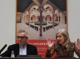 Barceló y Meret Oppenheim, protagonistas del Museo Picasso Málaga en 2020