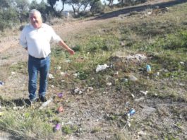 El PSOE pide al Ayuntamiento la recuperación del Olivar de San Isidro como espacio de ocio en Churriana