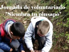 El Burgo invita a participar en La Jornada de Voluntariado «Planta tu Pinsapo»