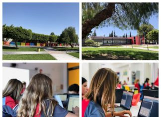 Comunicado del Colegio El Pinar / Official Announcement of El Pinar´School