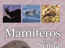 Una guía de la Diputación reúne 52 especies de mamíferos que pueden observarse en la provincia