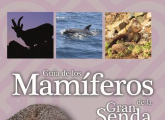Una guía de la Diputación reúne 52 especies de mamíferos que pueden observarse en la provincia