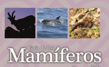 Una guía de la Diputación reúne 52 especies de mamíferos que pueden observarse en la provincia