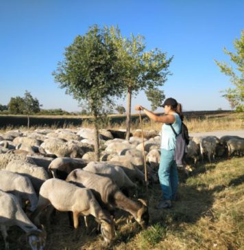 La Escuela de Pastores de Andalucía 2020 amplía el plazo de inscripción por el Covid-19 La Asociación Pastores por el Monte Mediterráneo, en el marco del Proyecto MADRE- Sierra de las Nieves, forma a los ganaderos y agricultores del Parque Nacional Sierra de las Nieves