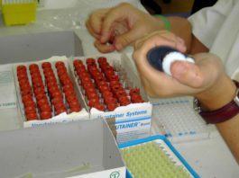 La Consejería de Agricultura ofrece a Salud centros Ifapa y laboratorios para combatir el Covid-19