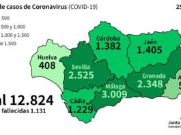 Coronavirus en Andalucía a 25 de abril