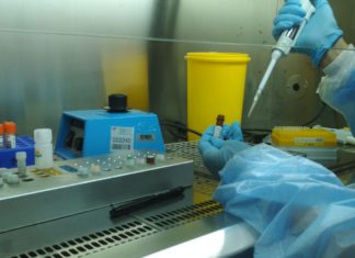 Salud y Familias coordina una amplia red de laboratorios para el diagnóstico del COVID-19 en la que participan todas las universidades públicas andaluzas