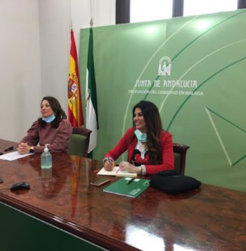 La Junta ofrece su colaboración a los hoteleros de Málaga para afrontar la crisis