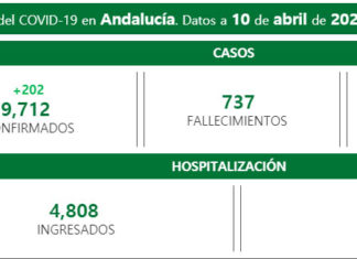Coronavirus en Andalucía datos a 11 de abril