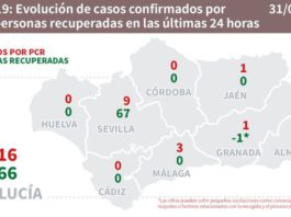 Datos de Covid19 en Andalucía del 31 de mayo