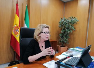 Economía reúne al comercio y la artesanía en Málaga para explicarles las ayudas destinadas a sufragar actuaciones para el desconfinamiento del COVID-19