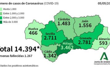 Coronavirus en Andalucía y Málaga a 5 de mayo