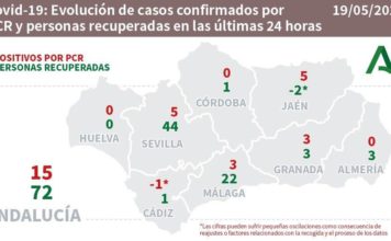 Datos del 19 de mayo sobre Covid-19