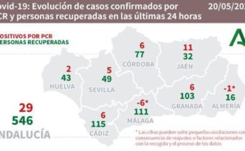 Coronavirus: datos del 20 de mayo