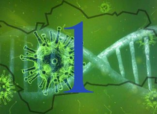 Declaraciones del Consejero de Salud, Jesús Aguirre, sobre el paso a la Fase 1