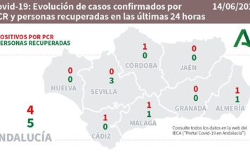 Covid 19 en Andalucía del 14 de junio
