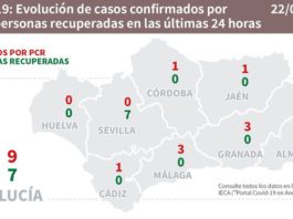 Datos Covid19 en Andalucía del 22 de junio