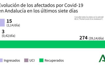Datos Covid19 de 29 de junio, aumenta los casos: 7 distrito Axarquía y 103 en brote de Cruz Roja