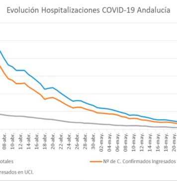 Covid 19 en Andalucía 13 de junio