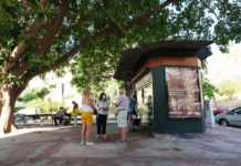 El PSOE exige al equipo de gobierno que realice actuaciones de poda en el distrito Palma-Palmilla
