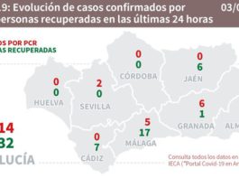 Datos sobre Covid19 y brotes en Málaga y Andalucía del 3 de julio