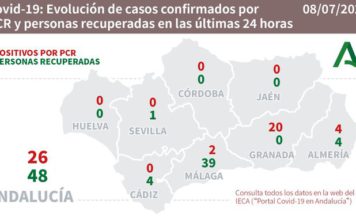 Datos Covid19 en Andalucía y estado de brotes del día 8 de julio